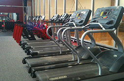 Greatlife fitness on sale store